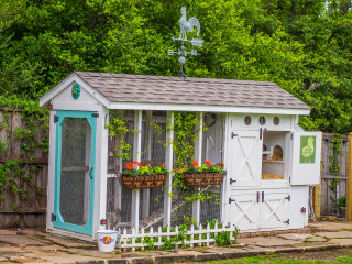 Moss Haven Farm presents A Peep at the Coops Urban Chicken Coops Tour and Country Market