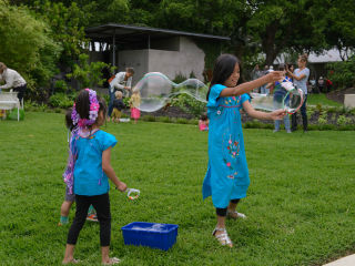 Bubble Fest