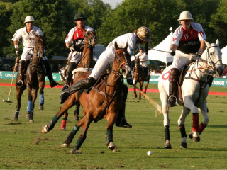 Places-Unique-Houston Polo Club-action-1