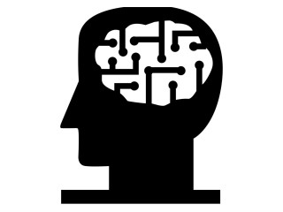 Aging Mind Foundation