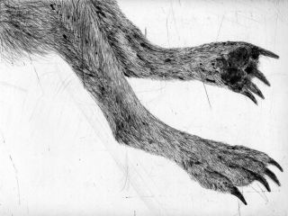 Bale Creek Gallery presents Kiki Smith: Bounty