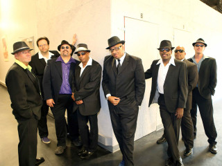 Dysfunkshun Junkshun