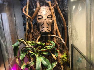 Halloween Open House