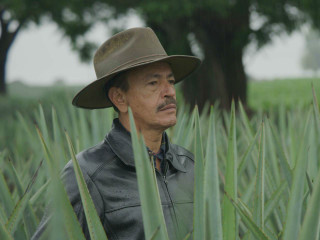 <i>Agave | The Spirit of a Nation</i>