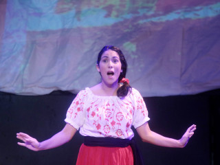 <i>Lucinda y las Flores de la Noche Buena</i>