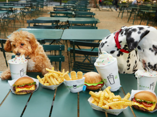 Shake Shack x BARK Austin Launch Party