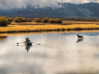 Fly Fishing Film Tour