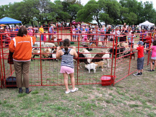 Heritage Festival