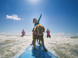 Fort Worth Museum of Science and History presents Superpower Dogs