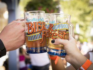 Bier Fest