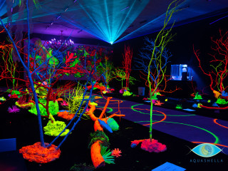 Aquashella Aquarium Festival
