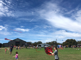 Kite Festival