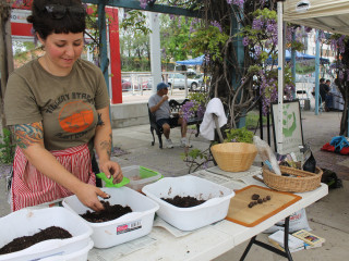 Eco Fair