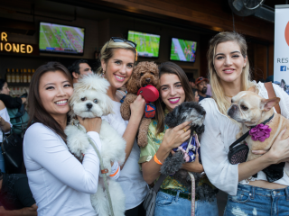Paws And Prosecco 5