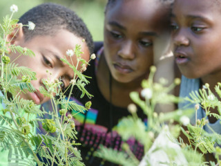DFW City Nature Challenge