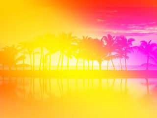<i>Sum Like it Hawt </i>