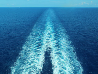 Joiri Minaya: <i>Labadee</i> opening