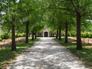 Fall Creek Vineyards at Tow