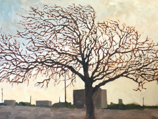 David Borden Art Exhibit