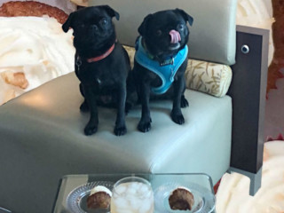 Cocktails & Cupcakes