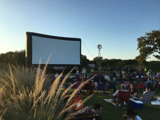 Movies in the Wild