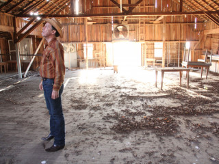 Dance Hall Days
