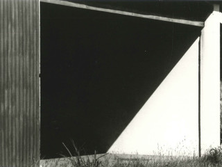 Kelly & Shadows