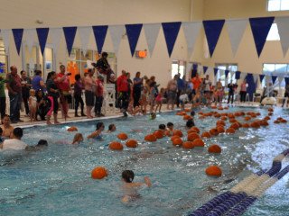 Pumpkin Dive