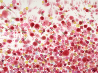 "Big Pink Blanket of Love: Jan Heaton & Friends" opening reception