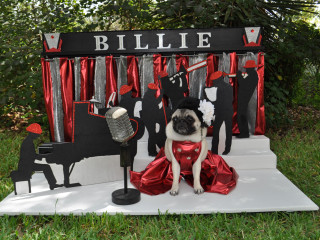 Great PUGkinFest