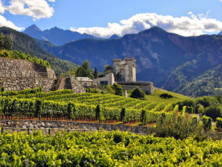 Aosta Valley Region Wine Dinner