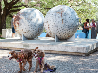 Landmarks Dog Walk