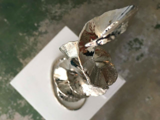 "Systema Praeternaturae" opening reception