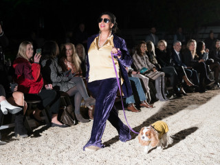 Haute Dogs