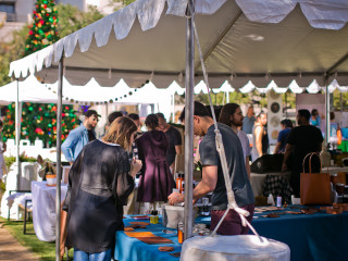 Holiday in the Park
