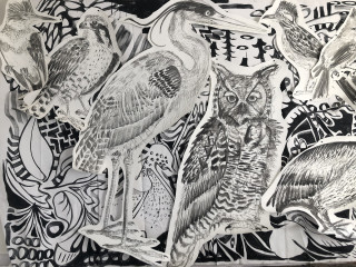 Conduit Gallery presents Jules Buck Jones: Birds of America