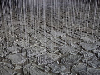 Crow Museum of Asian Art presents Beili Liu: One and Another