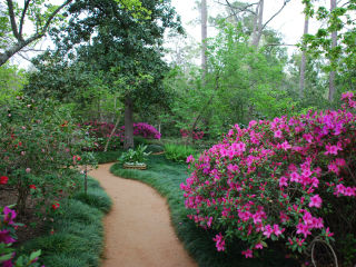 River Oaks Garden Club presents Azalea Trail