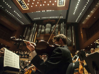 Meadows at the Meyerson
