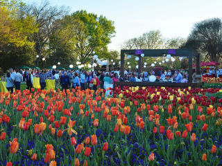 Dallas Arboretum Food and Wine Festival