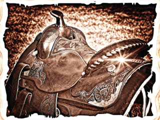 Toast To Life: Sequins & Saddles