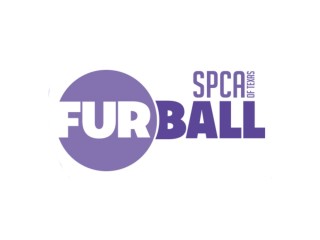 Fur Ball logo