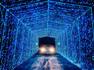 Rudolph's Lightshow
