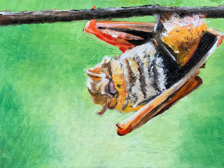 Ro2 Art Gallery presents Ken Craft: "Manifold Nature"