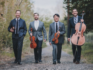 Miro Quartet