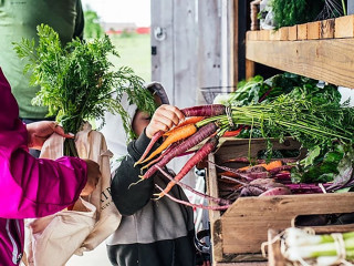 Harvest Green Farmers Market