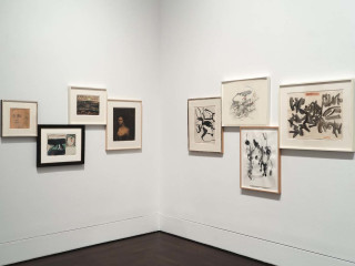 Blanton Museum of Art presents Drawing Inspiration