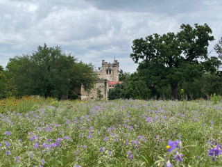 June Landscape Day