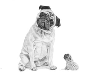 G. Lee Gallery presents Liz Wilson: Penciled Perceptions