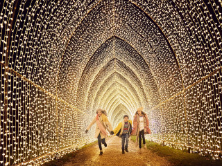 Lightscape